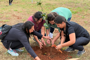 Foto - 1° Caminhada verde