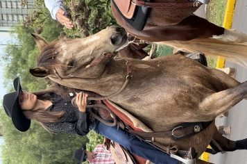 Foto - Cavalgada 2026