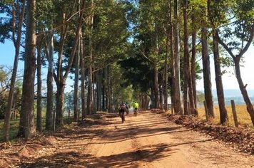 Foto - DOURADO CICLO PEDAL 2019