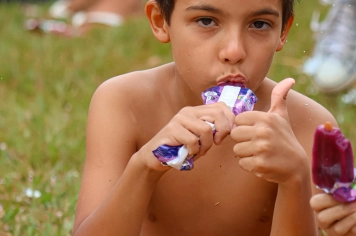 Foto - CarnaDourado 2026