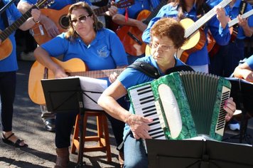 Foto - DOURADO 122 ANOS