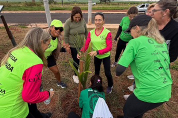 Foto - 1° Caminhada verde