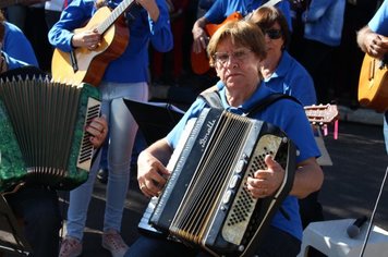 Foto - DOURADO 122 ANOS