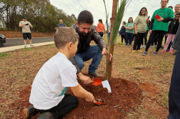 Foto - 1° Caminhada verde