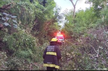 Ações da Defesa Civil