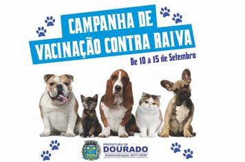 Campanha de Vacinação contra Raiva vai de 10 à 15 de setembro