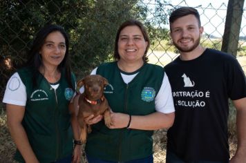 Castração chegando