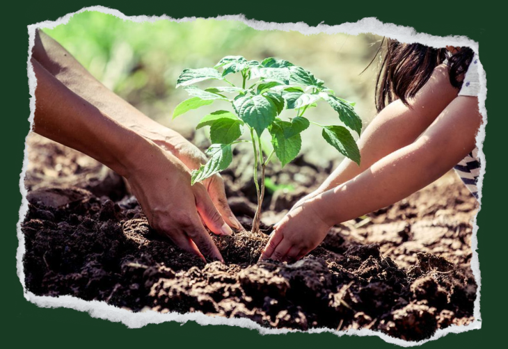 Caminhada Verde mobiliza população de Dourado para plantar um futuro mais sustentável